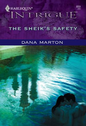 [SDDU 03] • The Sheik's Safety